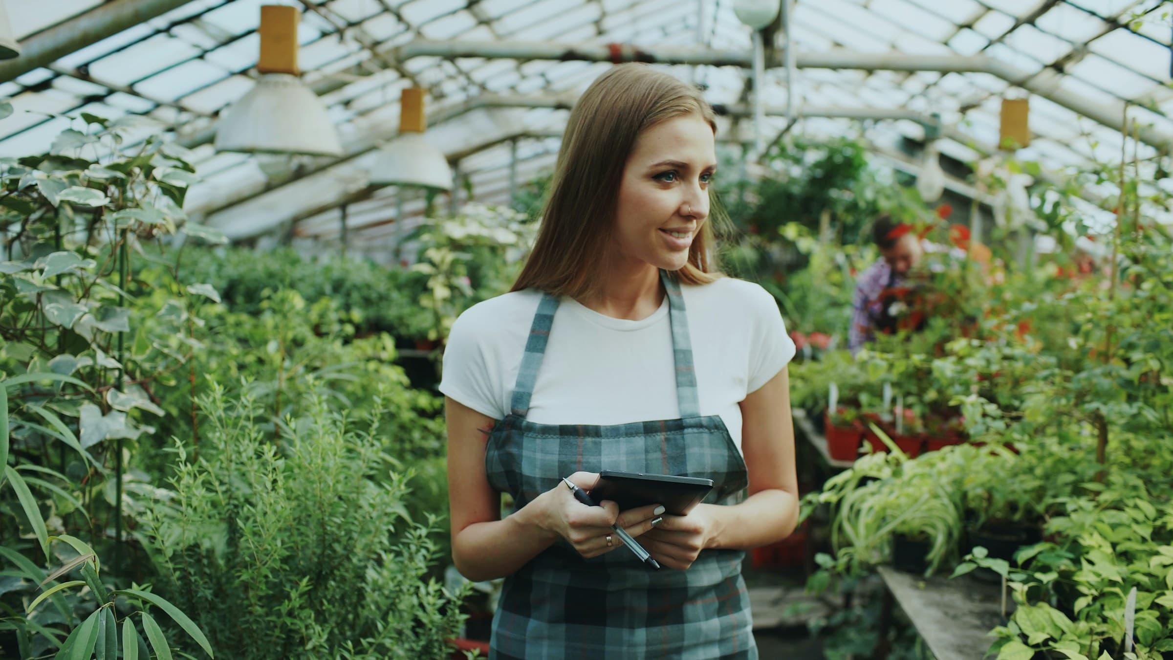 A grower checking a tablet inside a greenhouse